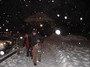 This trip had snow.